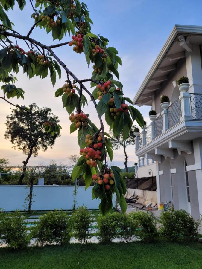 Tenuta Santo Stefano Azienda Agrituristica Santo Stefano del Sole Экстерьер фото